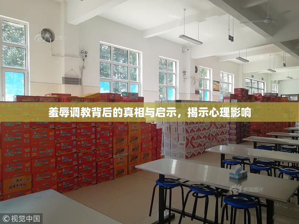 羞辱调教背后的真相与启示，揭示心理影响