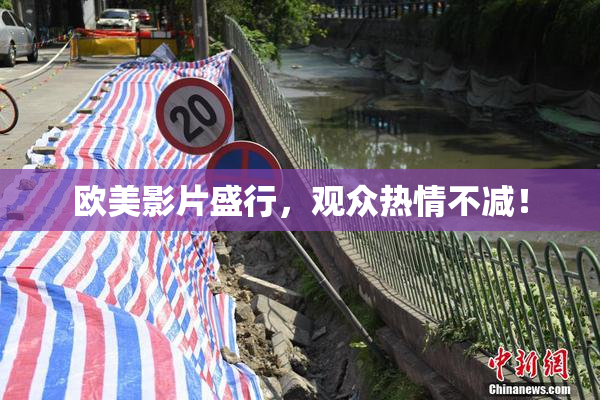 欧美影片盛行，观众热情不减！