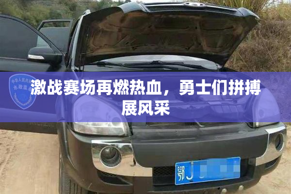 激战赛场再燃热血，勇士们拼搏展风采