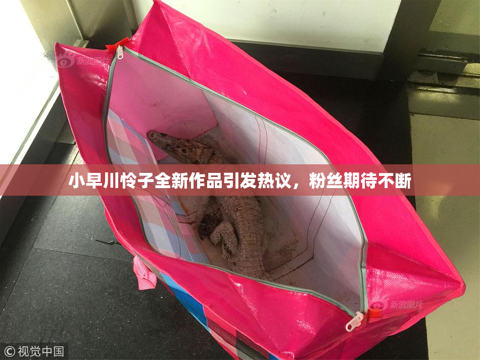 小早川怜子全新作品引发热议，粉丝期待不断