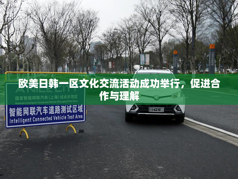 欧美日韩一区文化交流活动成功举行，促进合作与理解