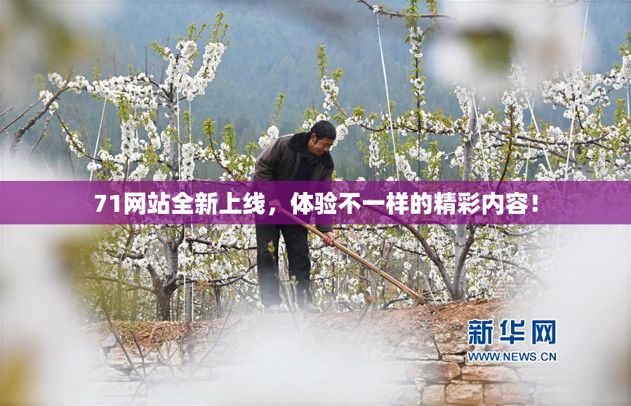 71网站全新上线，体验不一样的精彩内容！