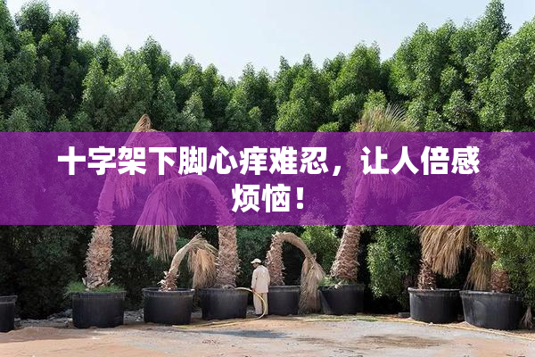 十字架下脚心痒难忍，让人倍感烦恼！