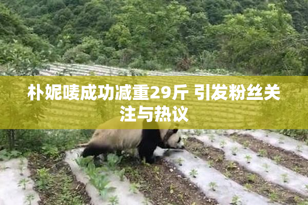 朴妮唛成功减重29斤 引发粉丝关注与热议