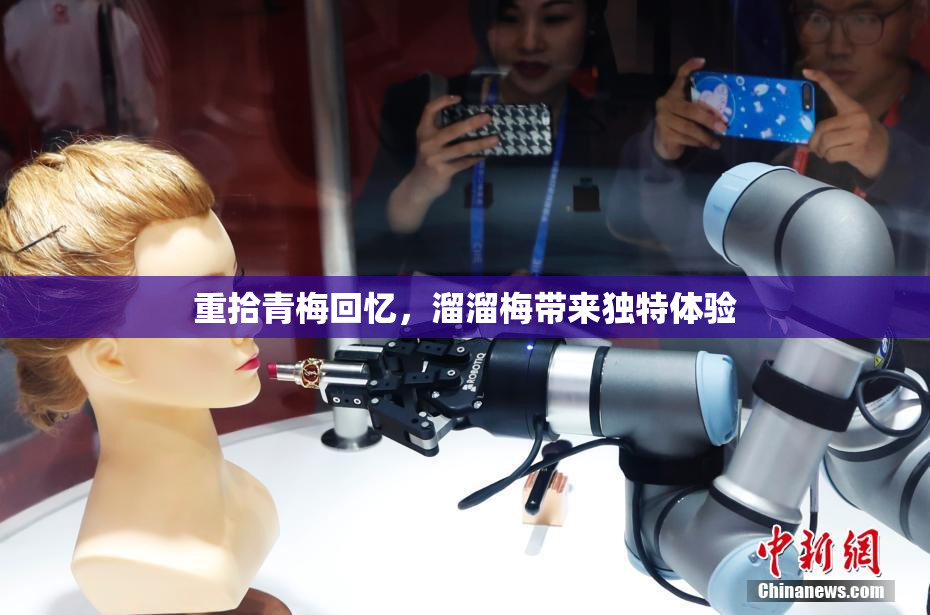 重拾青梅回忆，溜溜梅带来独特体验