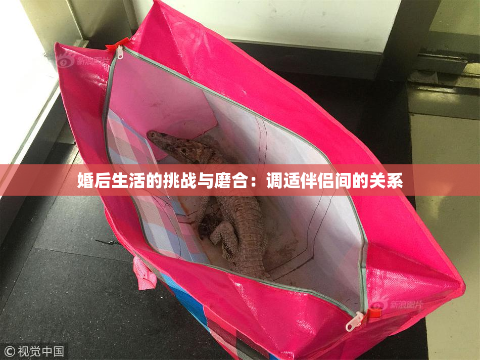 婚后生活的挑战与磨合：调适伴侣间的关系