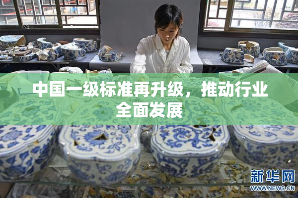 中国一级标准再升级，推动行业全面发展