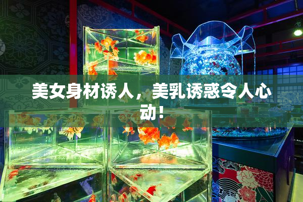美女身材诱人，美乳诱惑令人心动！