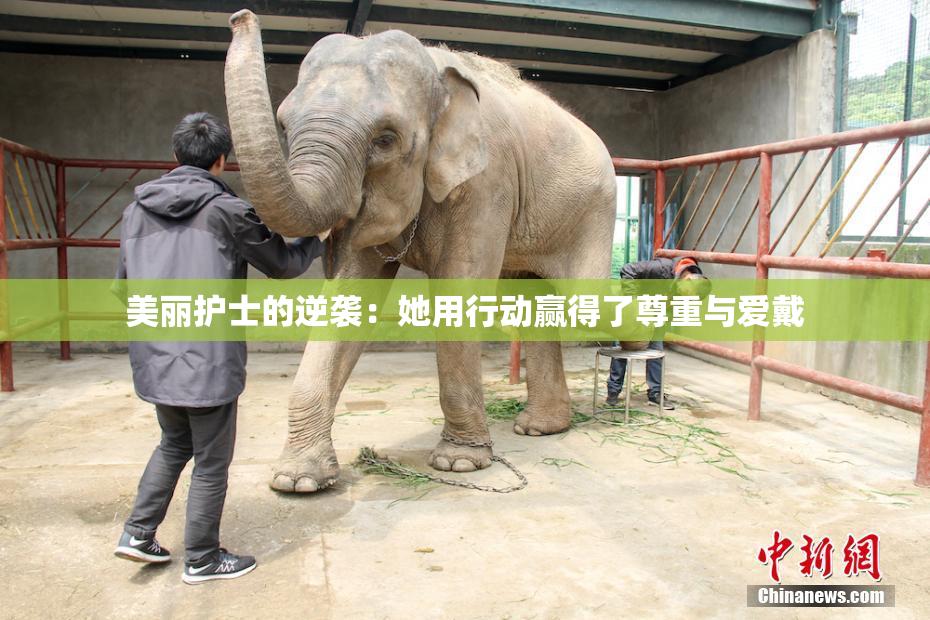 美丽护士的逆袭：她用行动赢得了尊重与爱戴