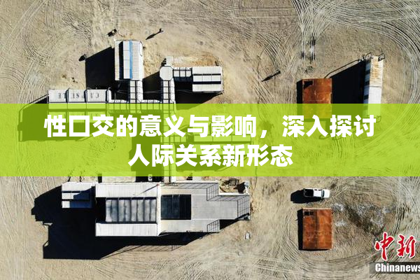 性囗交的意义与影响，深入探讨人际关系新形态