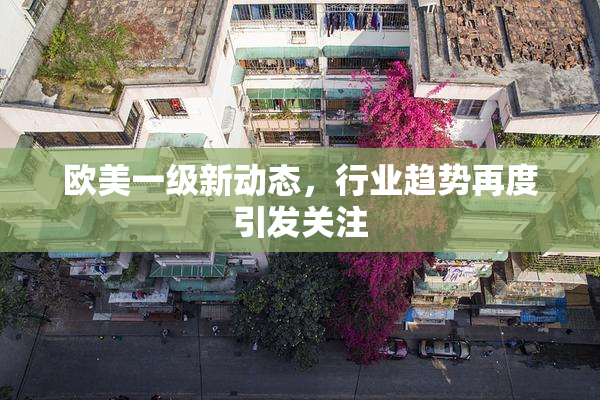 欧美一级新动态，行业趋势再度引发关注