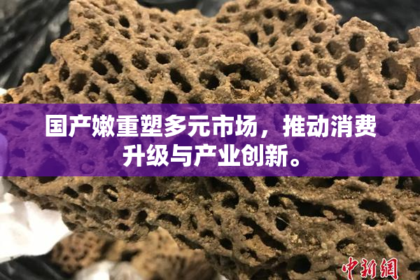 国产嫩重塑多元市场，推动消费升级与产业创新。
