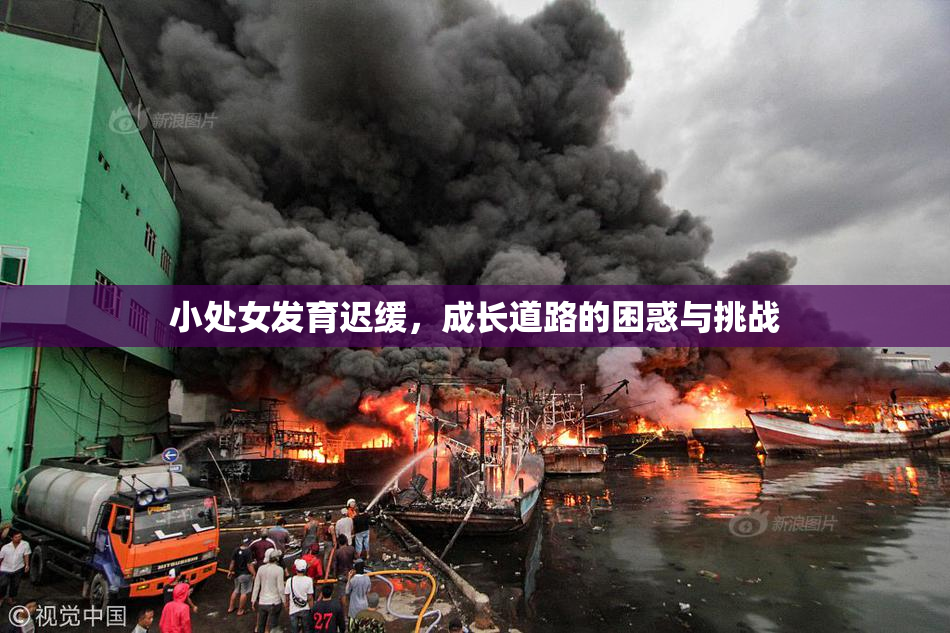 小处女发育迟缓，成长道路的困惑与挑战