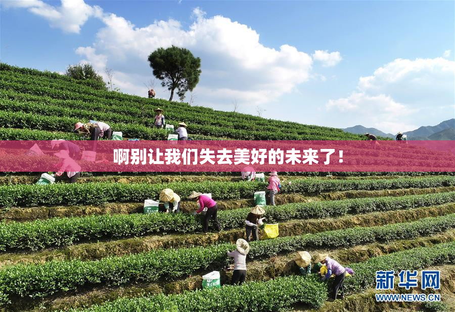 啊别让我们失去美好的未来了！