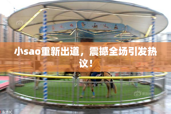 小sao重新出道，震撼全场引发热议！