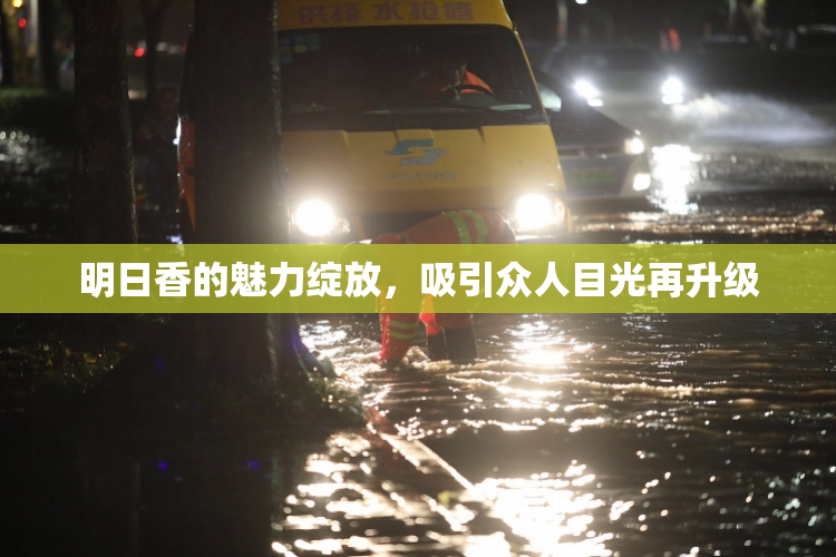 明日香的魅力绽放，吸引众人目光再升级