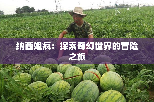 纳西妲疯：探索奇幻世界的冒险之旅