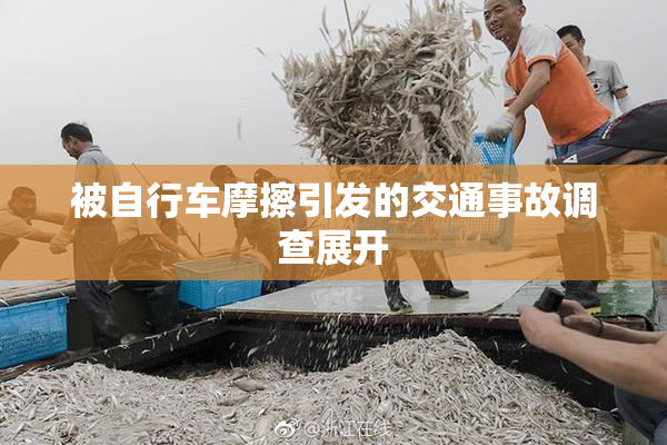 被自行车摩擦引发的交通事故调查展开