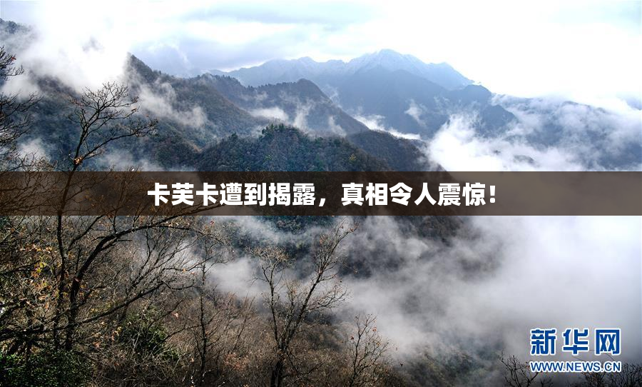 卡芙卡遭到揭露，真相令人震惊！
