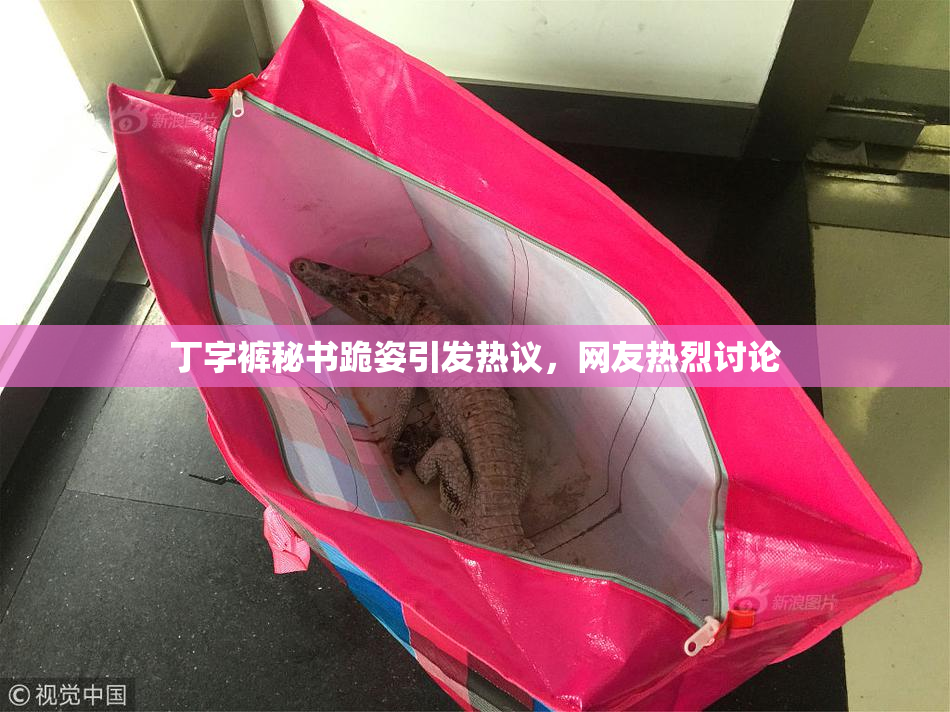丁字裤秘书跪姿引发热议，网友热烈讨论