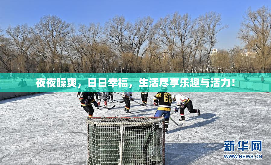 夜夜躁爽，日日幸福，生活尽享乐趣与活力！