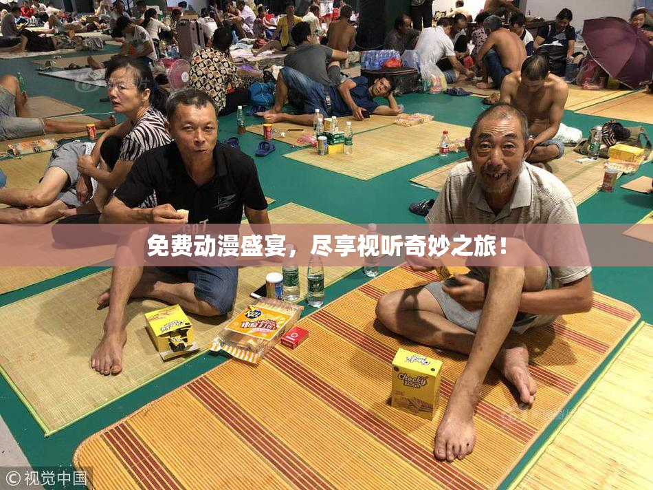 免费动漫盛宴，尽享视听奇妙之旅！