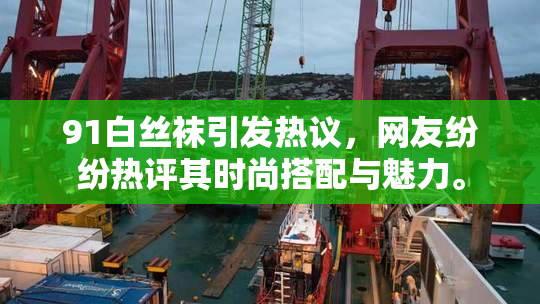 91白丝袜引发热议，网友纷纷热评其时尚搭配与魅力。