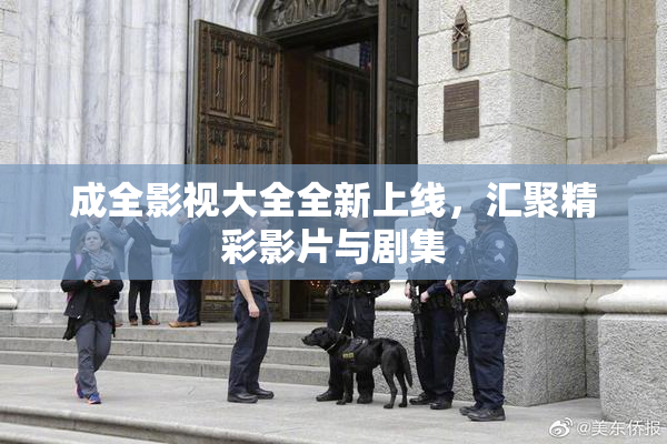 成全影视大全全新上线，汇聚精彩影片与剧集