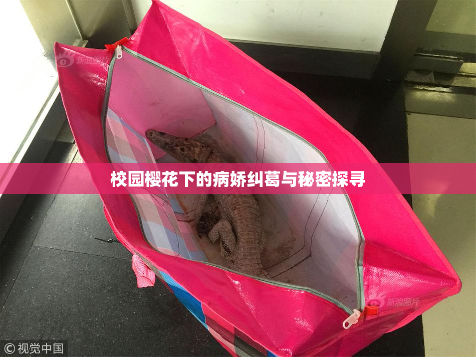 校园樱花下的病娇纠葛与秘密探寻