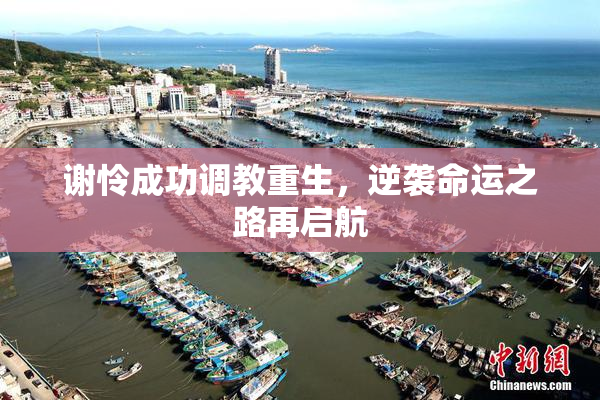 谢怜成功调教重生，逆袭命运之路再启航