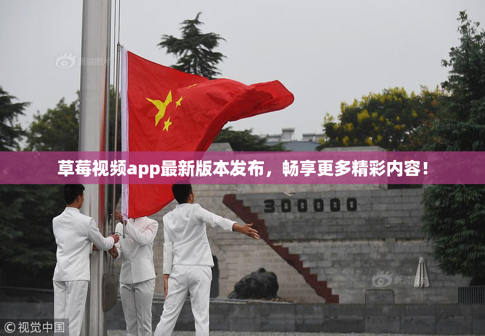 草莓视频app最新版本发布，畅享更多精彩内容！