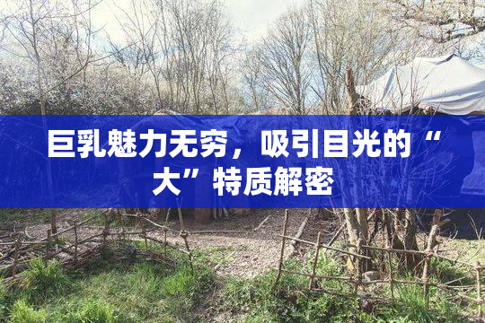 巨乳魅力无穷，吸引目光的“大”特质解密