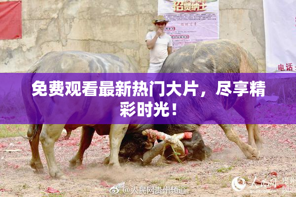 免费观看最新热门大片，尽享精彩时光！