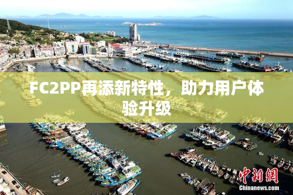 FC2PP再添新特性，助力用户体验升级