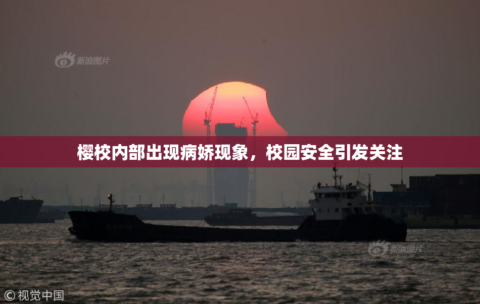 樱校内部出现病娇现象，校园安全引发关注