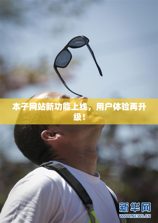 本子网站新功能上线，用户体验再升级！