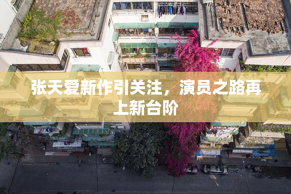 张天爱新作引关注，演员之路再上新台阶