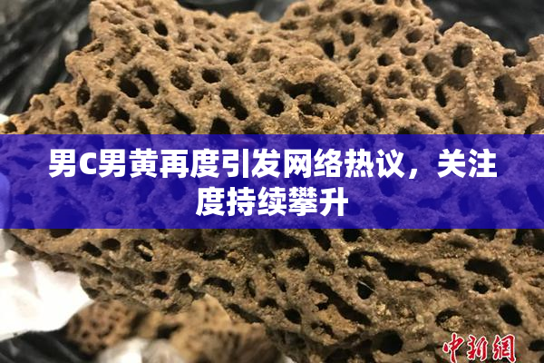 男C男黄再度引发网络热议，关注度持续攀升