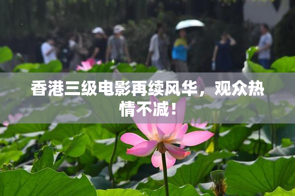 香港三级电影再续风华，观众热情不减！