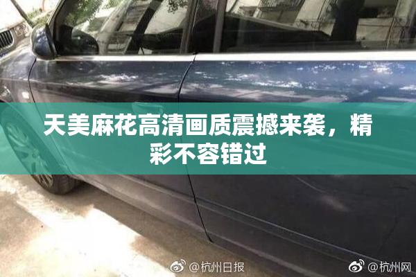 天美麻花高清画质震撼来袭，精彩不容错过