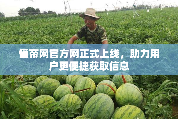 懂帝网官方网正式上线，助力用户更便捷获取信息