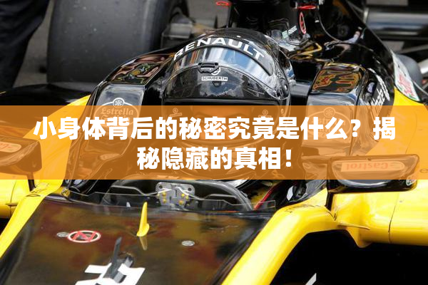 小身体背后的秘密究竟是什么？揭秘隐藏的真相！