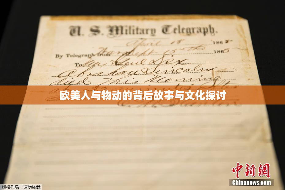 欧美人与物动的背后故事与文化探讨