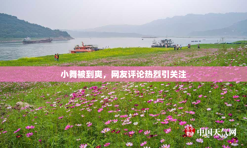 小舞被到爽，网友评论热烈引关注