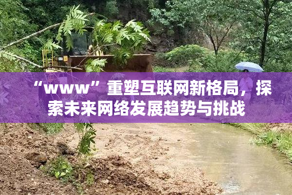 “www”重塑互联网新格局，探索未来网络发展趋势与挑战