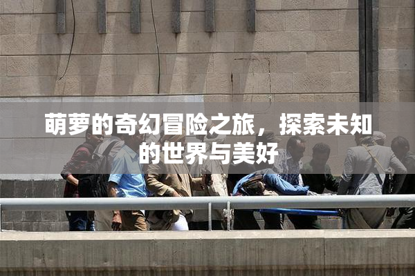 萌萝的奇幻冒险之旅，探索未知的世界与美好