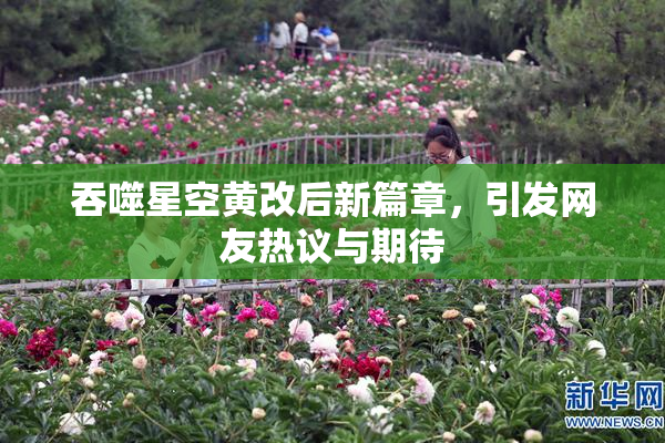 吞噬星空黄改后新篇章，引发网友热议与期待