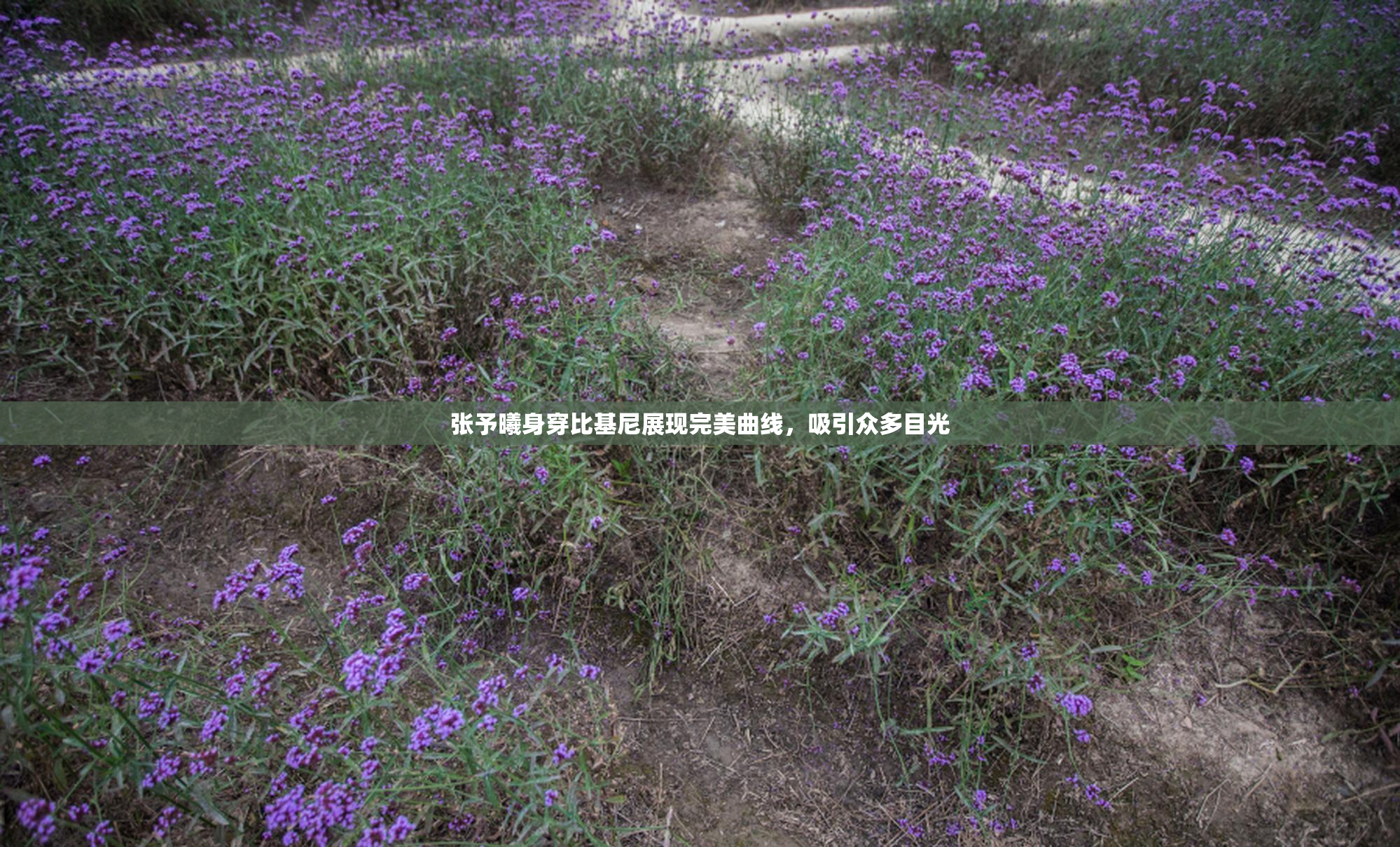 张予曦身穿比基尼展现完美曲线，吸引众多目光
