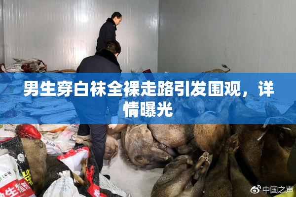 男生穿白袜全裸走路引发围观，详情曝光