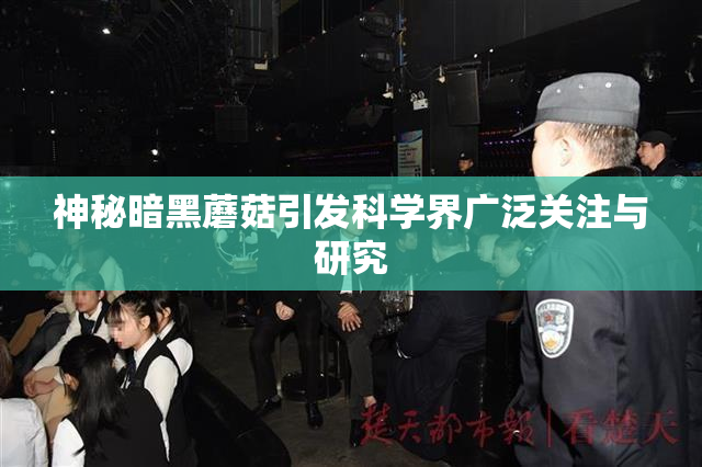 神秘暗黑蘑菇引发科学界广泛关注与研究